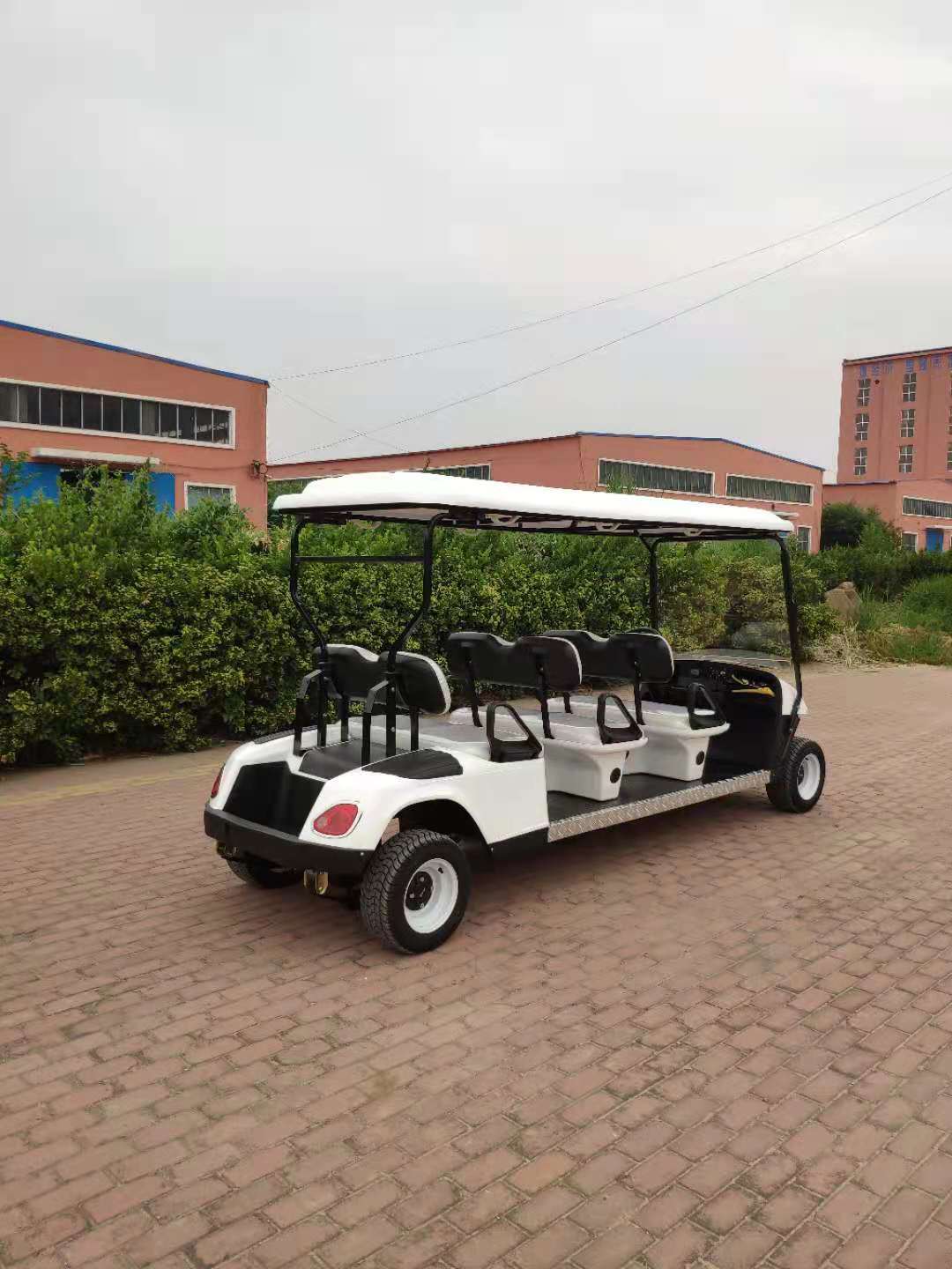 Carro de golf eléctrico de 6 asientos
