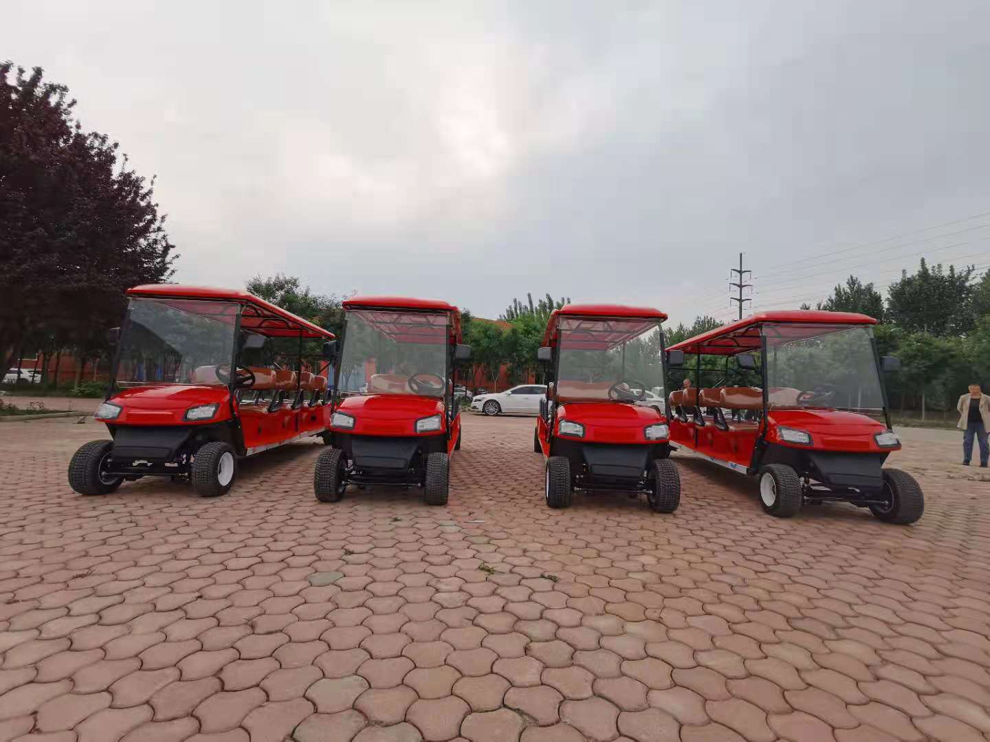 8 Seats Electric Golf Cart