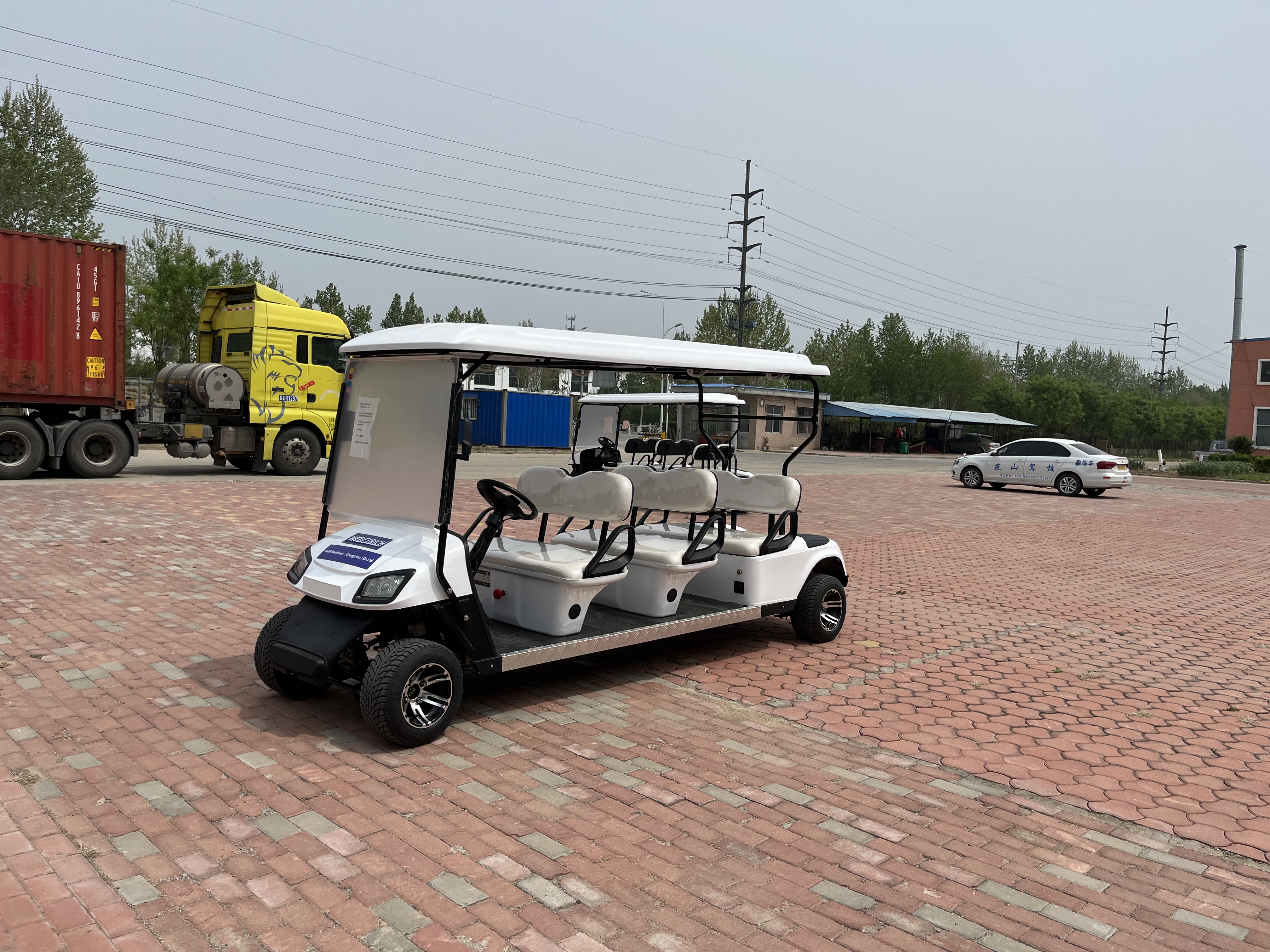 Carro de golf eléctrico de 6 asientos