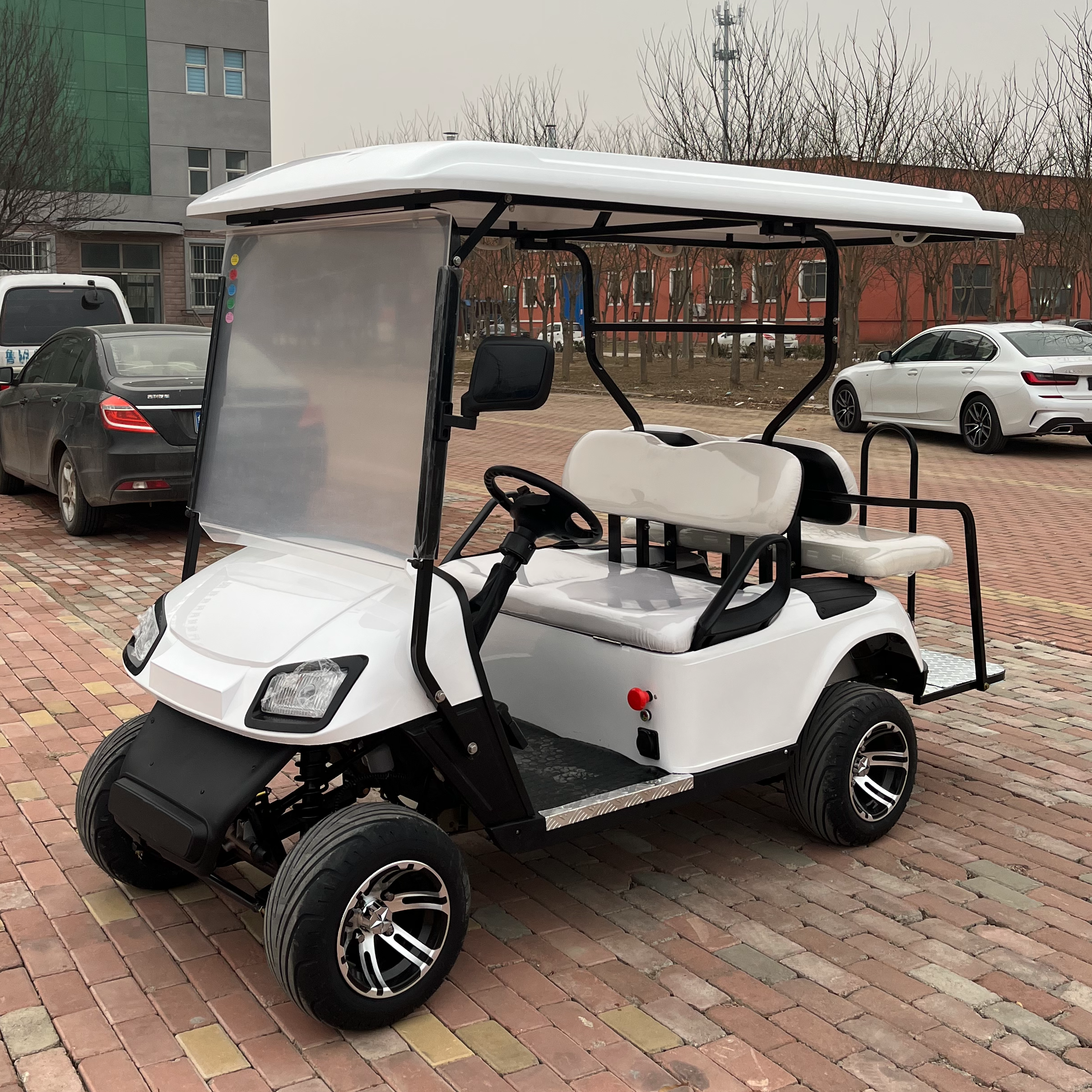 2+2 Seats Electric Golf Cart