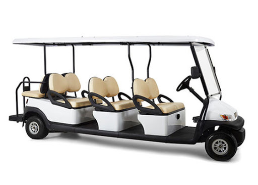 6+2 Seats Electric Golf Cart